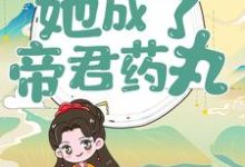 完结版《穿越后，她成了帝君药丸》在线免费阅读-侠客文学