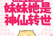 阿宝赵恒小说在哪里可以看-侠客文学