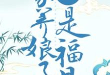 许清欢闵亦辰箫慎赵氏为主角的小说重生贫苦时代，家养娘子是福星在线阅读-侠客文学