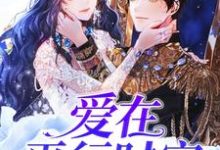 爱在平行时空免费阅读，爱在平行时空凌风蕊-侠客文学