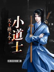 免费在线阅读天上掉下个小道士小说的正规网站有哪些？