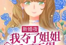 新婚夜，我夺了姐姐爱而不得的男人最新章节，新婚夜，我夺了姐姐爱而不得的男人章节在线阅读-侠客文学