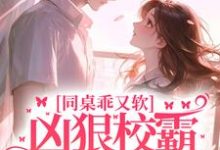 同桌乖又软,凶狠校霸区别对待 沈清江澈小说免费阅读-侠客文学