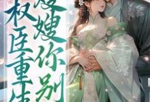 小说《权臣重生，嫂嫂你别跑》章节免费阅读-侠客文学