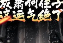 主人公叫萧郗的小说开局成萧何侄子,这运气绝了在线阅读章节-侠客文学