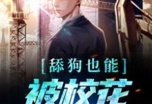 主角宋诚孙颖小说舔狗也能被校花死缠烂打?免费阅读-侠客文学