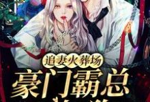 追妻火葬场：豪门霸总不如狗免费阅读，追妻火葬场：豪门霸总不如狗落溪楚京西-侠客文学