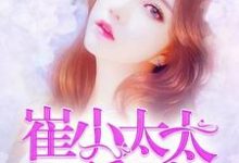 主角叫宋阿暖崔晟临顾晴张乐芙小说崔小太太要翻身章节免费阅读-侠客文学