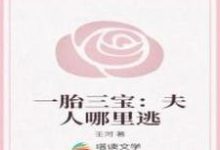 《一胎三宝：夫人哪里逃》小说大结局免费试读 靳宛钰叶钧霆小说-侠客文学