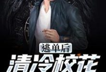 陆晨的故事在哪本书里？免费阅读逃单后，清冷校花她后悔了-侠客文学