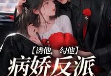 主人公苏枝陆时与小说诱他，勾他，病娇反派快上钩在线章节阅读-侠客文学