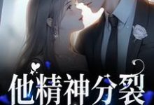 他精神分裂，但和你契合小说阅读，他精神分裂，但和你契合完结版-侠客文学