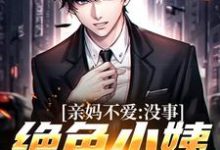 完结版《亲妈不爱？没事，绝色小姨超宠我》章节阅读-侠客文学