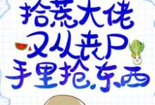 免费阅读林初靳墨为主角的小说,造孽!拾荒大佬又从丧尸手里抢东西在线看-侠客文学