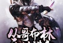 主角李晓冷锋高阳小说从哥布林开始进化免费阅读-侠客文学