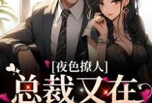完整版的夜色撩人，总裁又在放蛊了小说在哪里可以免费读到？-侠客文学