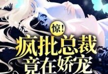 惊！疯批总裁竟在娇宠入狱罪妻小说的免费阅读版本在哪里可以找到？-侠客文学