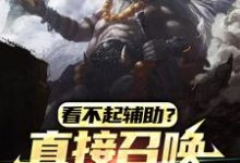 看不起辅助？直接召唤巨人教做人姜平在线章节免费阅读-侠客文学