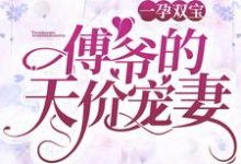 一孕双宝:傅爷的天价宠妻小说全文阅读需要付费吗?寻找免费资源-侠客文学