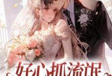 完结版《好心抓流氓，结果抓错人了》章节阅读-侠客文学