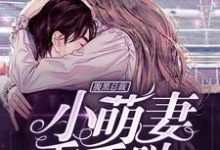 主人公叫雍小唯苏慕沉江雪琴周正的小说腹黑总裁：小萌妻，乖乖哒在线阅读章节-侠客文学