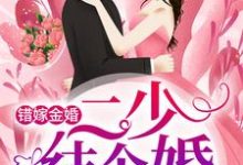 杨柒贺逸宁冯曼伦为主角的小说好看吗？免费读错嫁金婚：二少，结个婚？-侠客文学