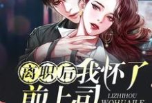 离职后我怀了前上司的孩子卫颜冷夜霆,离职后我怀了前上司的孩子在线无弹窗阅读-侠客文学