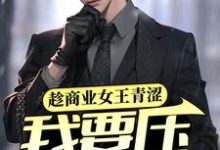 陈墨为主角的小说好看吗？求趁商业女王青涩，我要压她一筹！免费试读-侠客文学