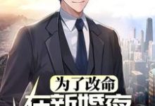 为了改命,在新婚夜撒腿就跑赵和平沈清如小说大结局免费试读-侠客文学