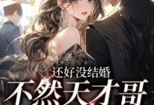 完结版《还好没结婚,不然天才哥就要跑了》在线免费阅读-侠客文学