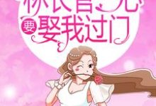 已完结小说《林长官一心要娶我过门》在线章节阅读-侠客文学