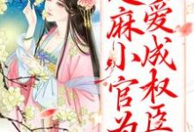 已完结小说《甜宠：芝麻小官为爱成权臣了》章节免费阅读-侠客文学