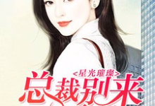 星光璀璨：总裁别来无恙小说无弹窗阅读的网站推荐-侠客文学