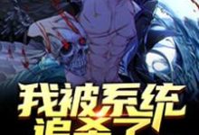 主角叫林不凡林象生单铁花石铃华的小说在哪阅读-侠客文学