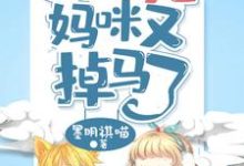 小说《萌宝四岁半，团宠妈咪又掉马了》章节免费阅读-侠客文学