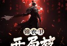 锦衣卫：开局被官府爆打苏岩林黛青，锦衣卫：开局被官府爆打小说免费阅读-侠客文学