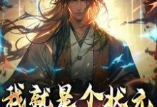 我就是个状元，你让我斩妖？吴道玄小说在线章节目录阅读最新章节-侠客文学