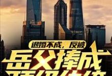 退婚不成,反被岳父捧成顶级纨绔小说的无弹窗阅读体验,寻找免费阅读网站-侠客文学