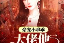 男女主人公叫墨心儿霍九爷的小说免费资源-侠客文学