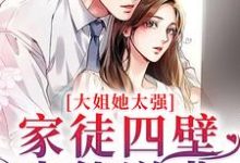 完结版《大姐她太强!家徒四壁也能逆袭》章节阅读-侠客文学
