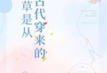 校草是从古代穿来的小说，校草是从古代穿来的在线阅读-侠客文学