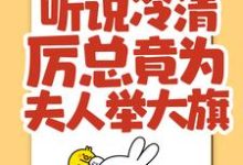 《听说冷清厉总竟为夫人举大旗!》小说主角林晚晚厉司寒章节章节免费在线阅读-侠客文学