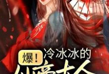 月浅兮祈烬渊是哪本书的主角？爆！冷冰冰的仙帝大人下凡宠妻免费读-侠客文学