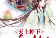 主角叫 温媛沈文德的小说在哪阅读-侠客文学