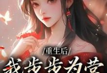 重生后，我步步为营，揭露宫斗小说最新更新在哪里？免费在线看-侠客文学
