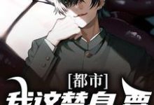 江容的故事在哪本书里？免费阅读都市：我这替身，要钱是专业的-侠客文学