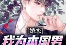 主角苏白小说完结版在线阅读，婚恋：我为本国男生找洋美人免费看-侠客文学