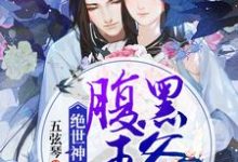 为主角的小说叫什么？免费看绝世神医：腹黑王爷别缠我-侠客文学