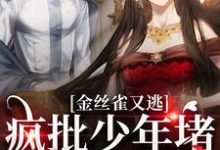 金丝雀又逃,疯批少年堵巷红了眼沈清沅祝怀砚在线章节免费阅读-侠客文学