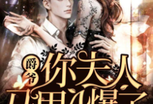 苏黎陆承爵宁宁为主角的小说爵爷,你夫人马甲A爆了在线阅读-侠客文学